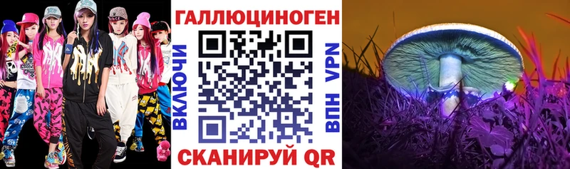 Галлюциногенные грибы GOLDEN TEACHER  хочу   Кашин 